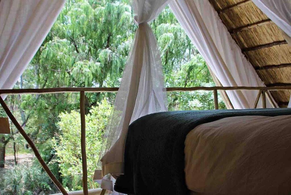 Hot Spring Bungalow In Limpopo Gemsbokfontein Exterior foto